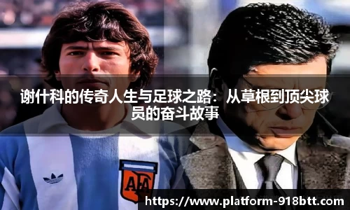 918博天堂官网